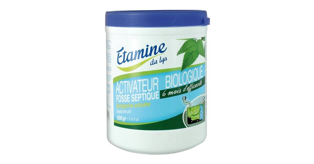 Etamine du lys Etamine du lys